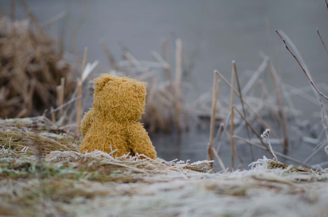 Lonely teddybear